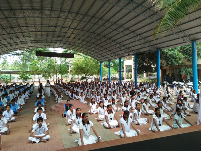 portfolio-1